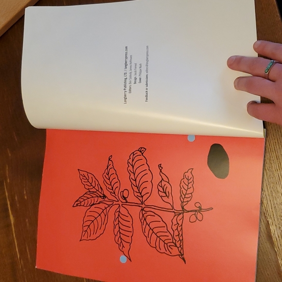 Longberry Press Issue 2 - Spring 2016 - RARE - Picture 4 of 4